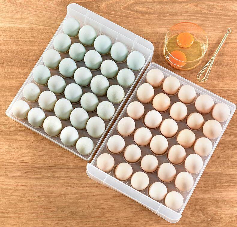 Transparent Egg Storage Drawer Container