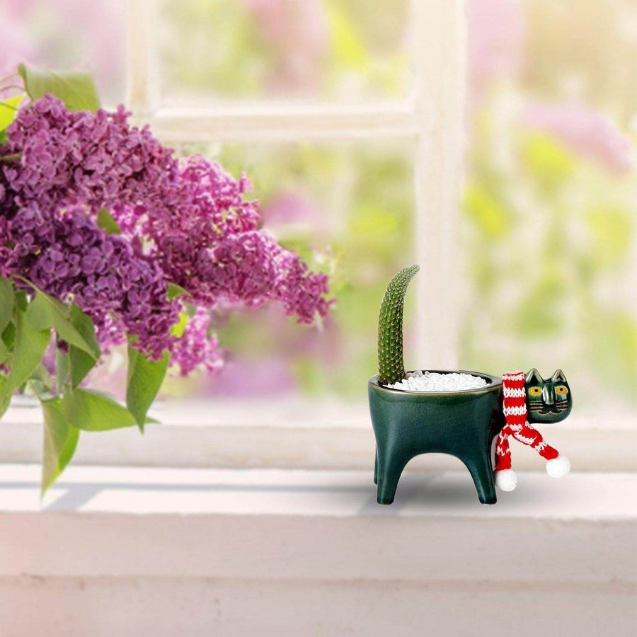 Lovely Ceramic Cat Plant Vase - Image 4