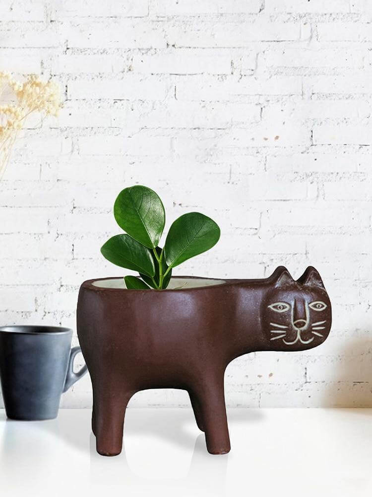 Lovely Ceramic Cat Plant Vase - MaviGadget