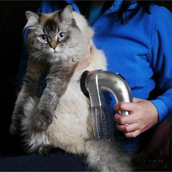 Electric Cordless Pet Hair Vacuum - Image 5