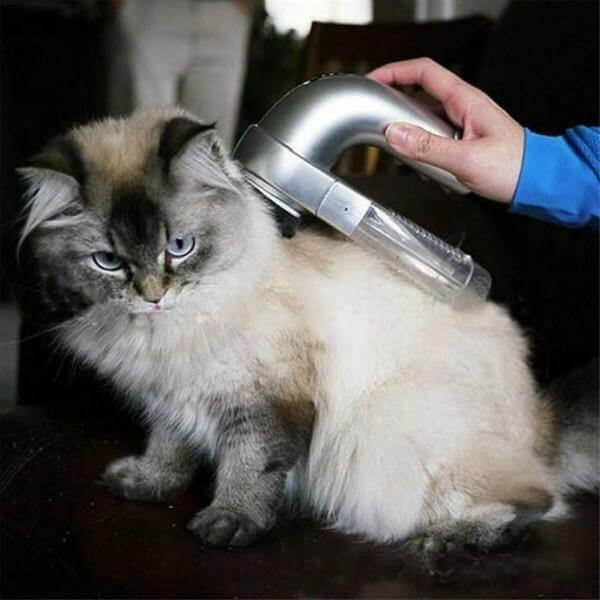 Electric Cordless Pet Hair Vacuum - Image 3