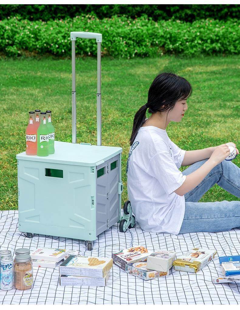Foldable Portable Grocery Picnic Trolley Storage Cart Box - Image 5