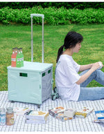 Foldable Portable Grocery Picnic Trolley Storage Cart Box - MaviGadget