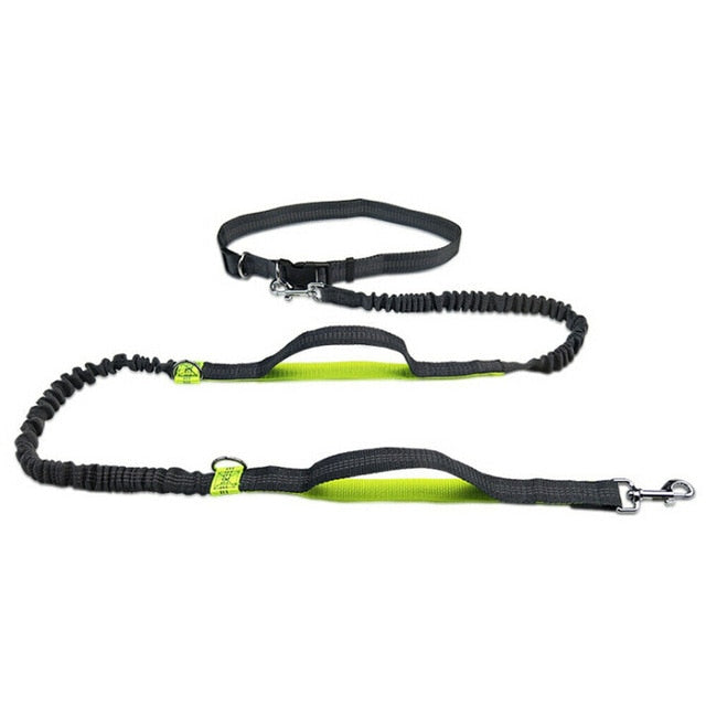 Hands-Free Elastic Waist Dog Leash