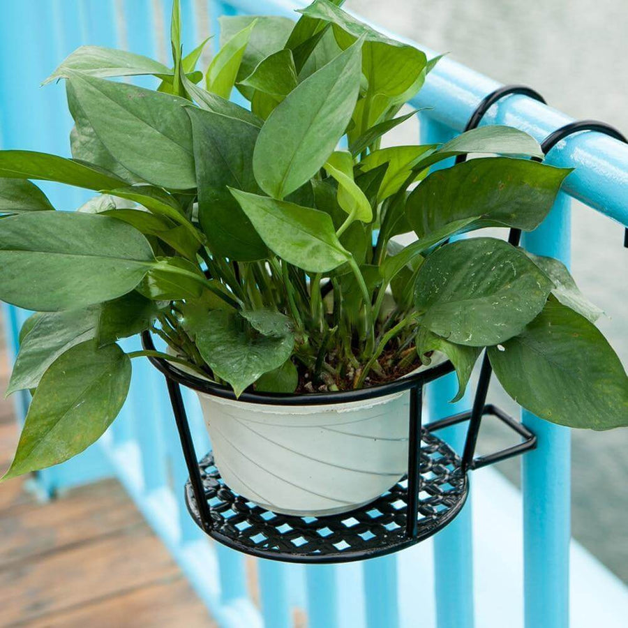 Iron Outdoor Hanging Baskets Flower Pot Holder - Image 4