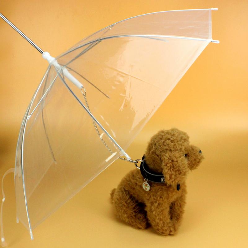Creative Pet Walking Transparent Umbrella - Image 3