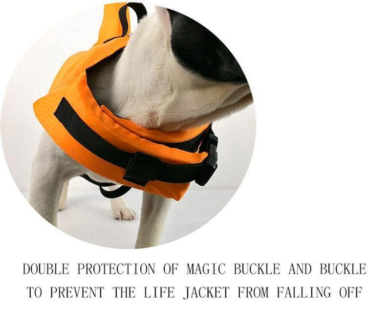 Dog Shark Pet Swimming Life Jacket - Image 4