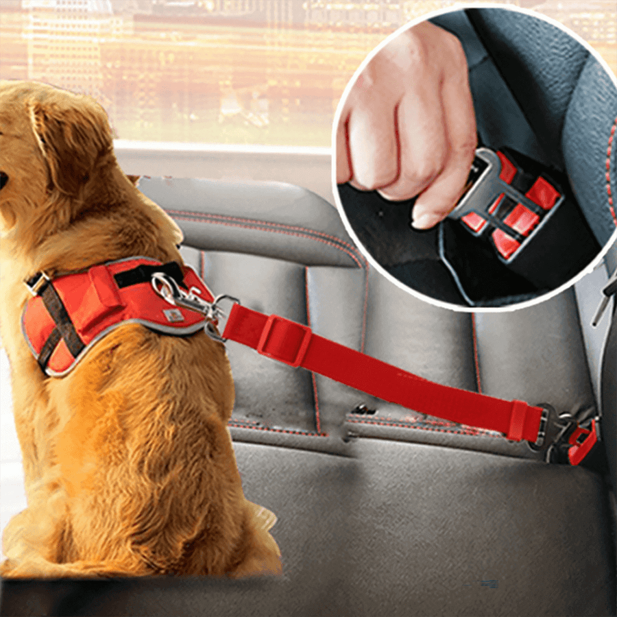 Adjustable Car Pet Safety Belt - Image 0