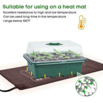 Adjustable 12 Seedling Planting Box