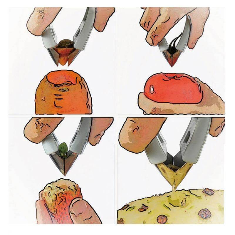 Fruit Stem Remover Tweezer Tool - Image 1