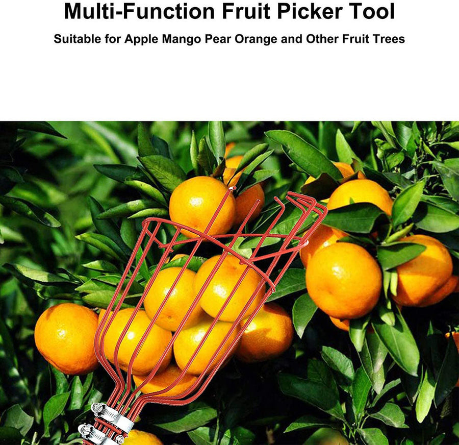 High Branch Fruit Picker - Image 2