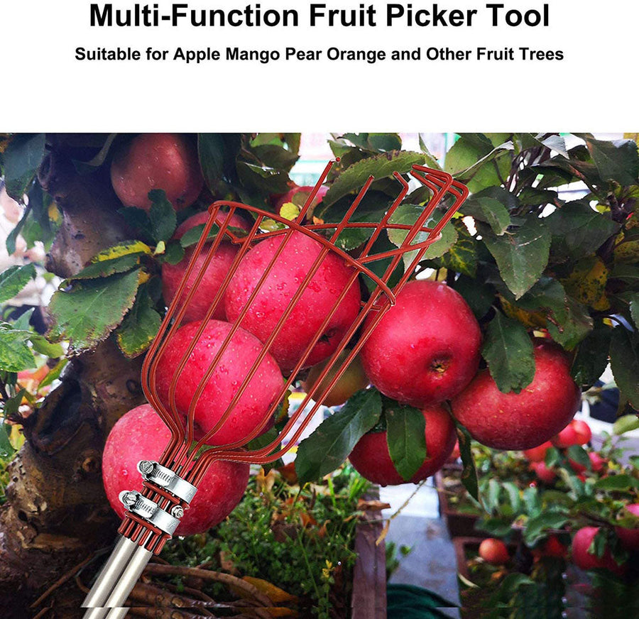 High Branch Fruit Picker - Image 5