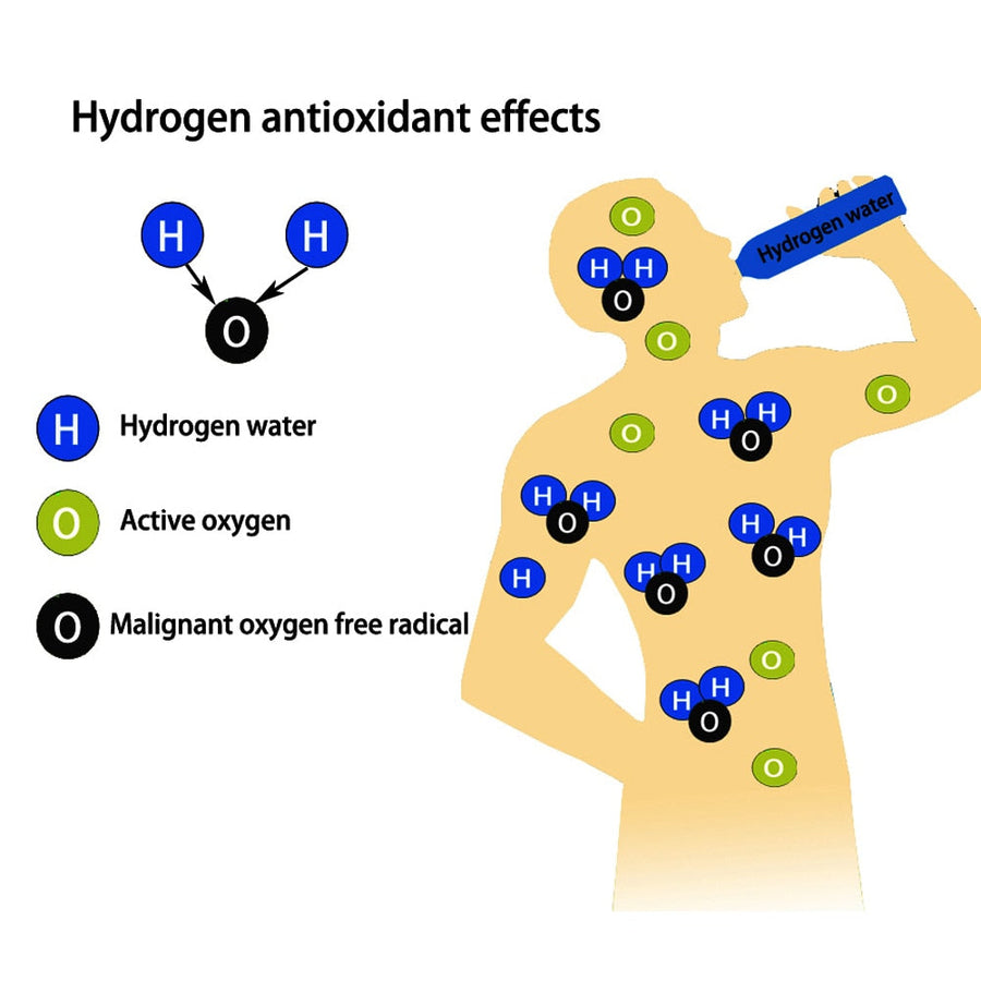 Japanese High Hydrogen Water Generator - Image 7