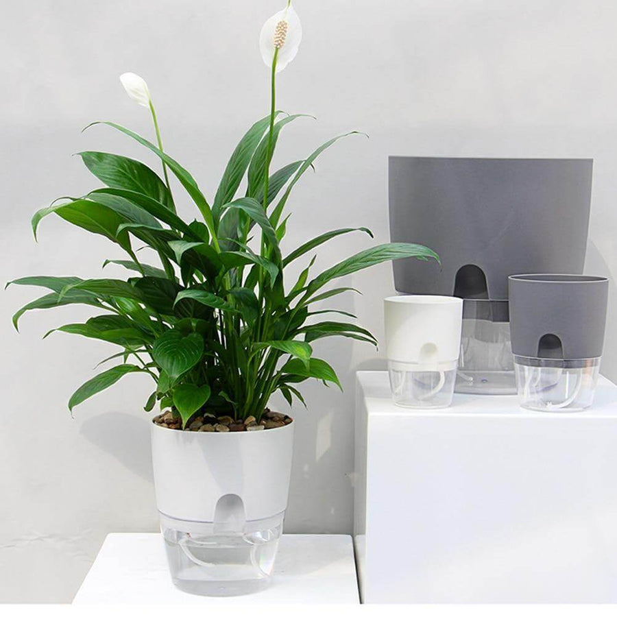 Self-watering Plant Pot with Water Container - Image 0