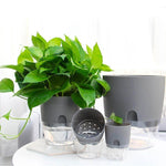 Self-watering Plant Pot with Water Container