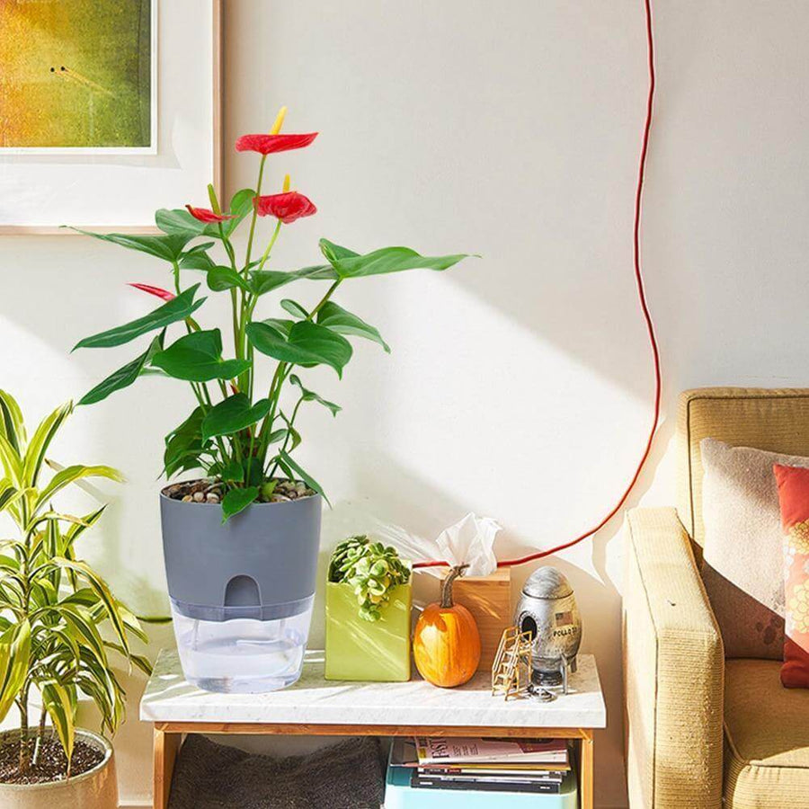 Self-watering Plant Pot with Water Container - Image 8
