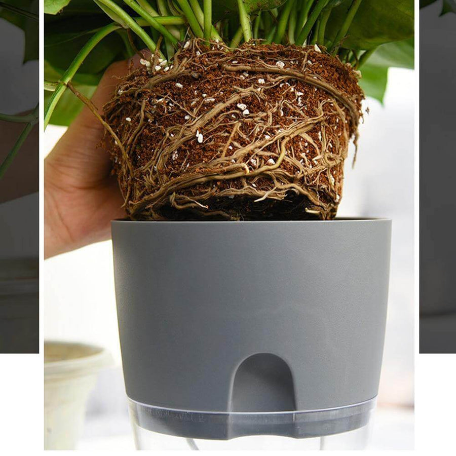 Self-watering Plant Pot with Water Container - Image 5