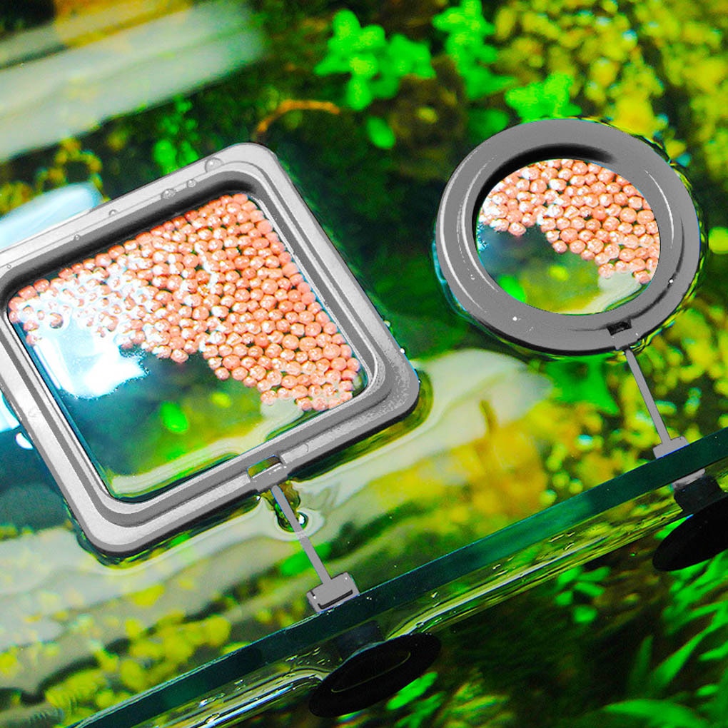 Creative Aquarium Floating Fish Feeder Tray