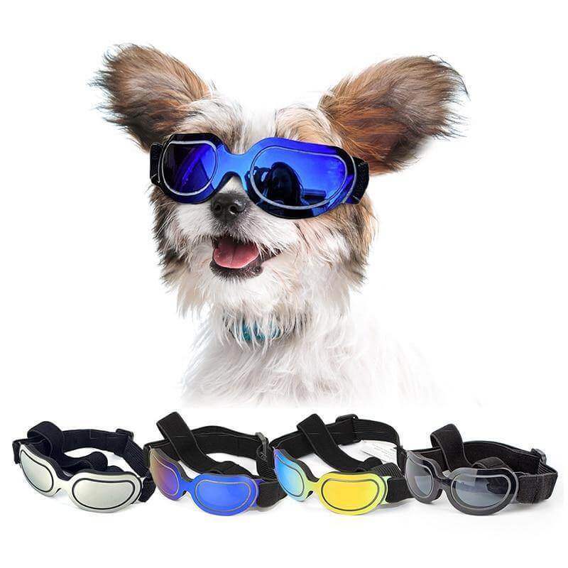 Cool Pet Fashion Helmet & Riding Cap - Image 0