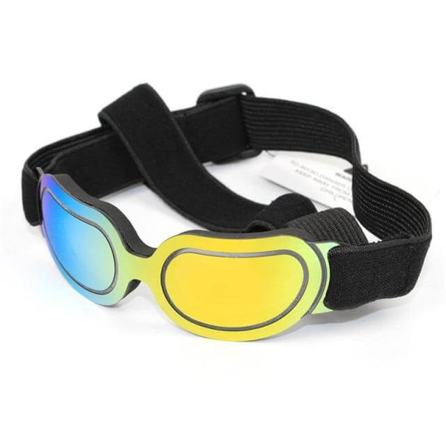 Cool Pet Fashion Helmet & Riding Cap - Image 4