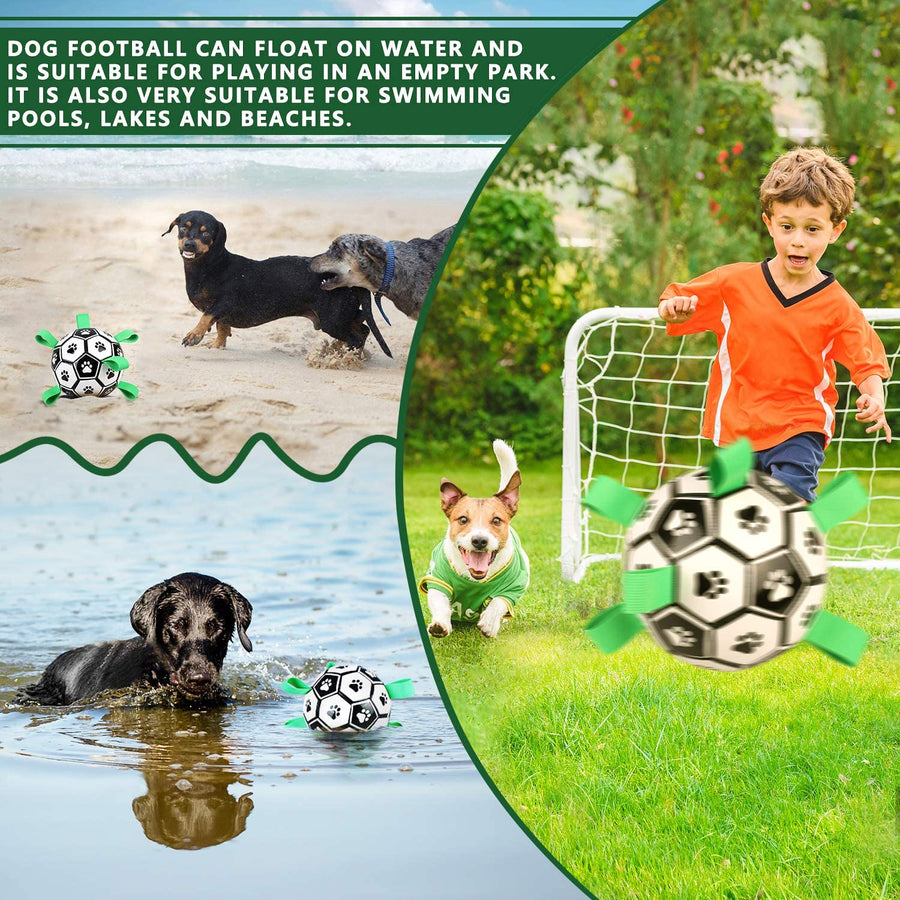 Interactive Pet Training Toy Ball - Image 2