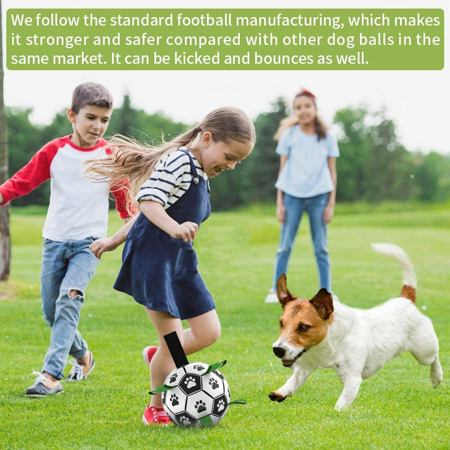 Interactive Pet Training Toy Ball - Image 3