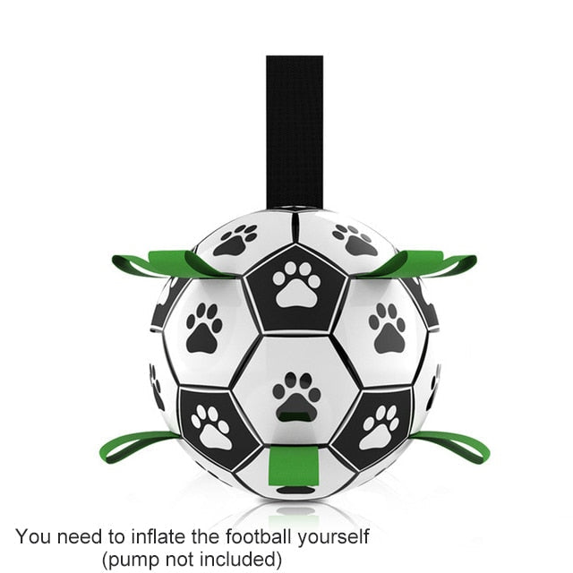 Interactive Pet Training Toy Ball