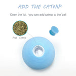 Pet Interactive Training Sound Ball