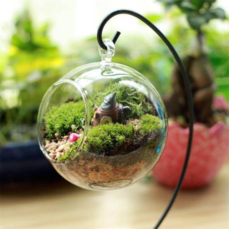 Creative Clear Glass Ball Vase - Image 2