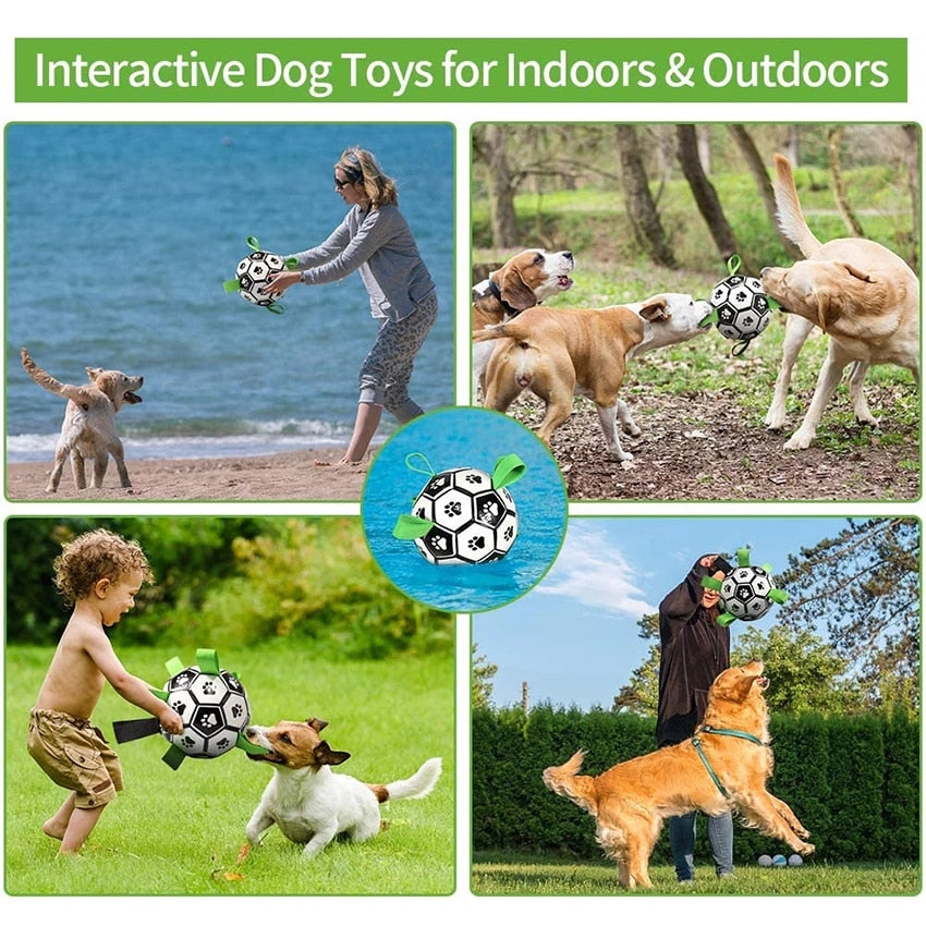 Interactive Pet Training Toy Ball - Image 10