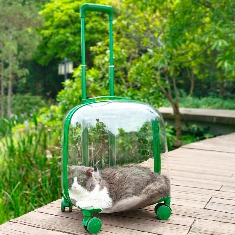 Transparent Pet Travel Trolley Capsule - Image 0