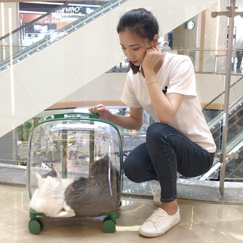 Transparent Pet Travel Trolley Capsule - Image 4