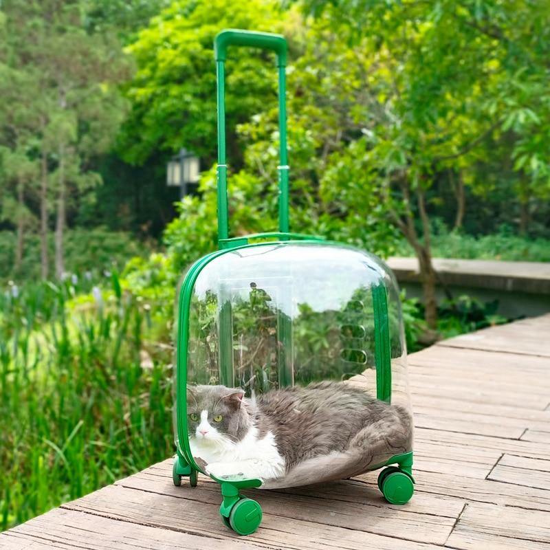 Transparent Pet Travel Trolley Capsule - Image 5