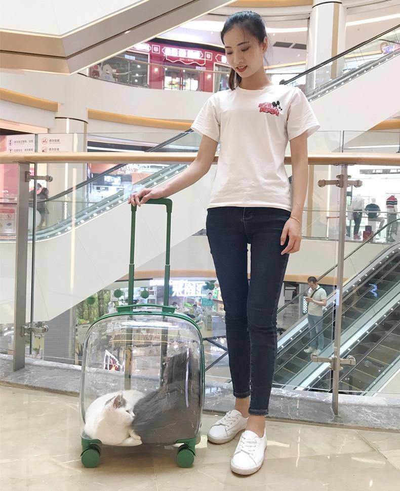Transparent Pet Travel Trolley Capsule - Image 1