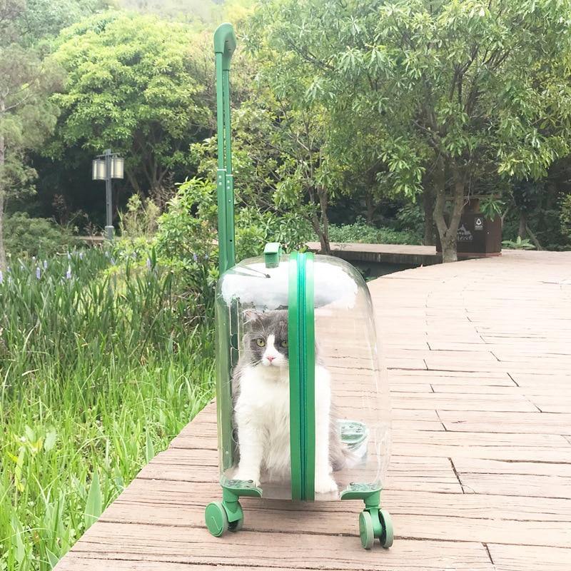 Transparent Pet Travel Trolley Capsule - Image 2