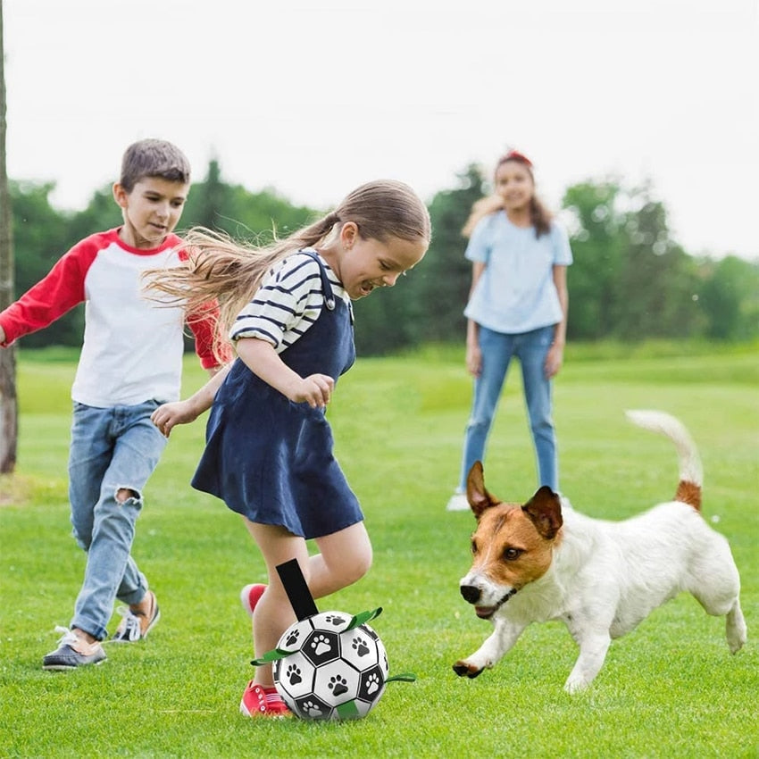 Interactive Pet Training Toy Ball