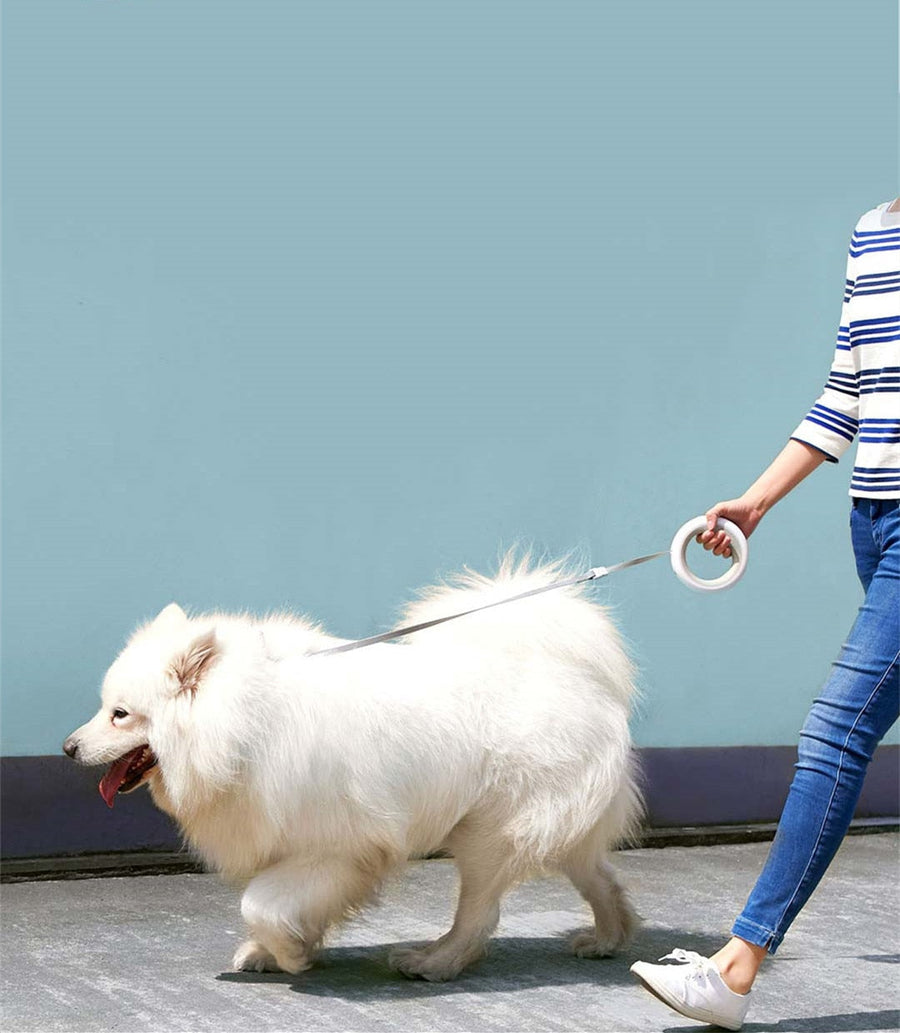 UFO Retractable Rechargeable LED Pet Leash - Image 1