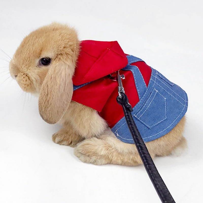 Rabbit Cute Jean Dress - Image 11
