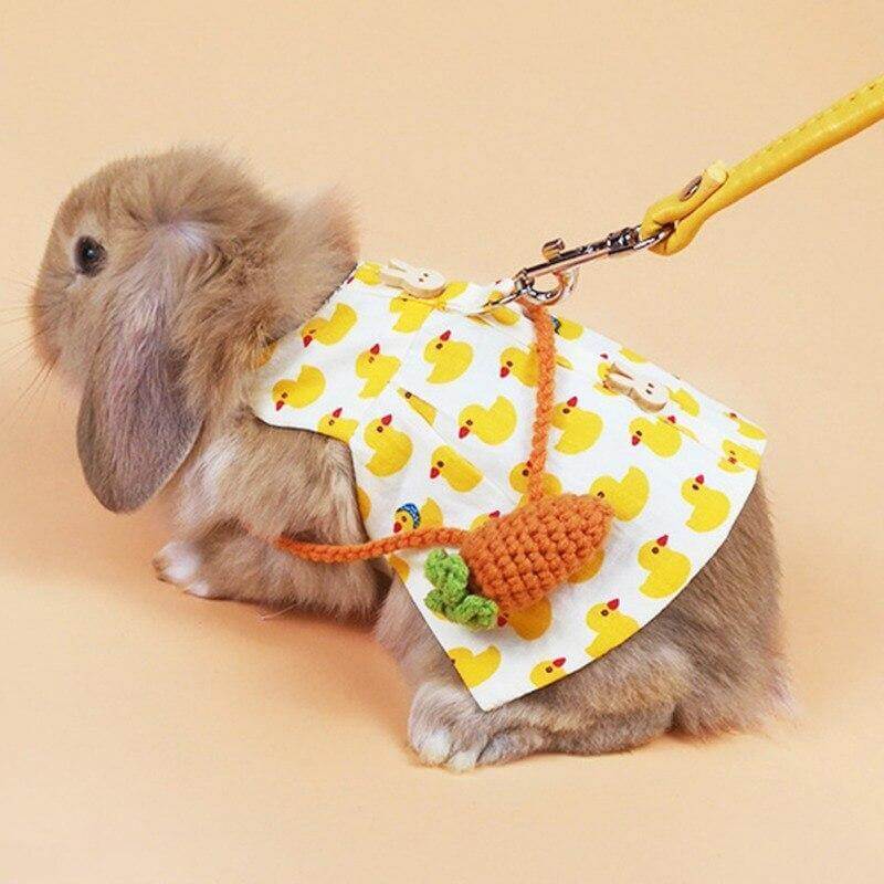 Rabbit Cute Jean Dress