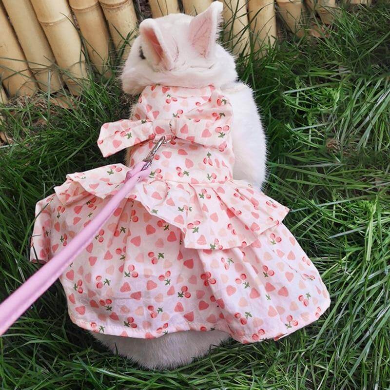 Rabbit Cute Jean Dress