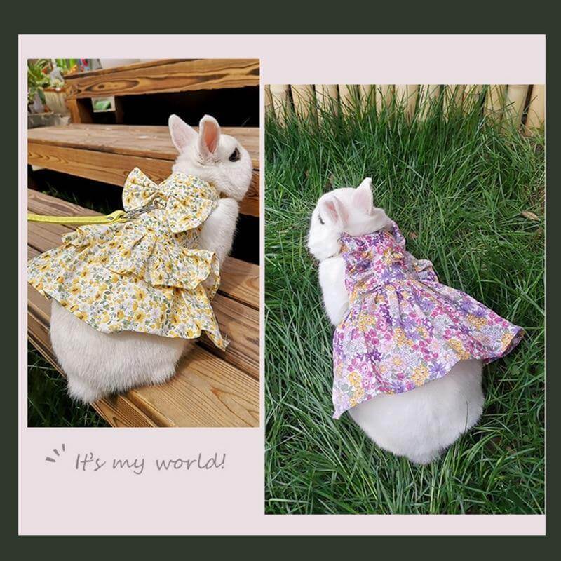 Rabbit Cute Jean Dress - Image 1