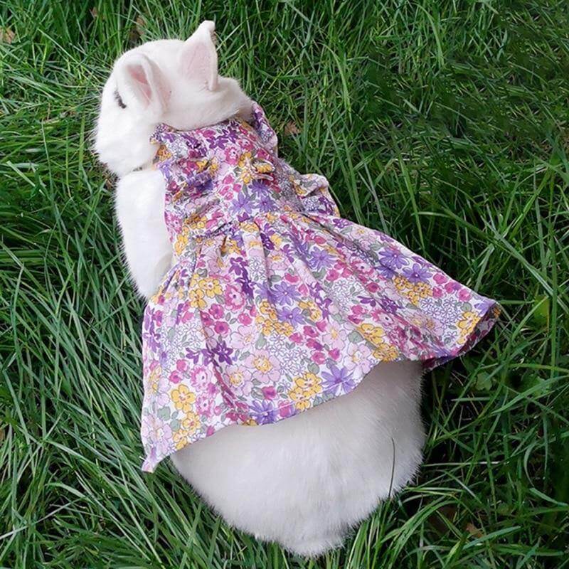 Rabbit Cute Jean Dress - Image 2