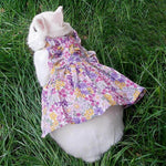 Rabbit Cute Jean Dress