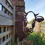 Outdoor Garden Metal Farm Ornaments