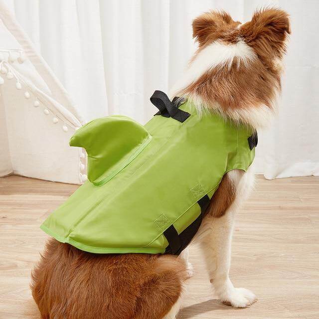 Dog Shark Pet Swimming Life Jacket - Image 10