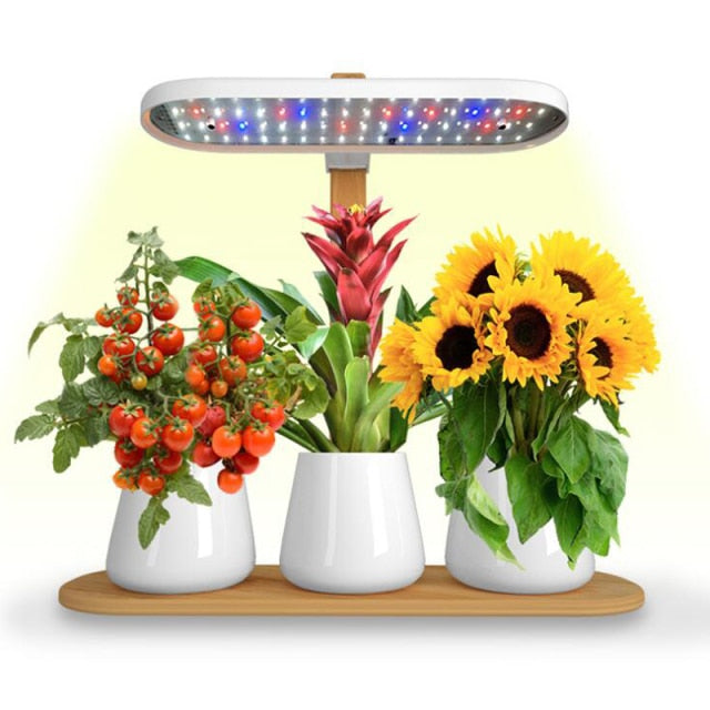 Modern Home Plant Growth Lamp Box - Image 4