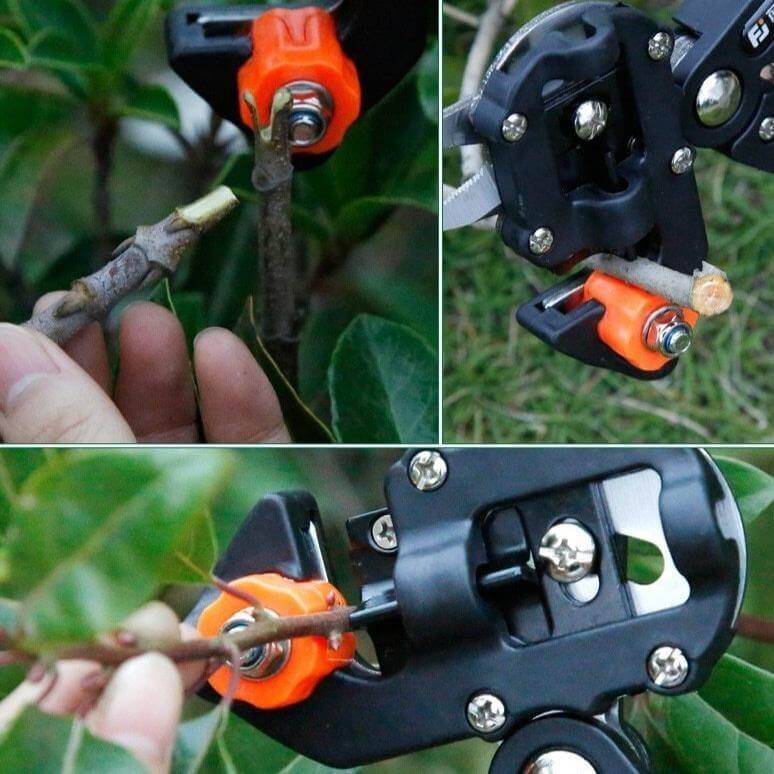 3 Style Multifunctional Fruit Tree Scissor