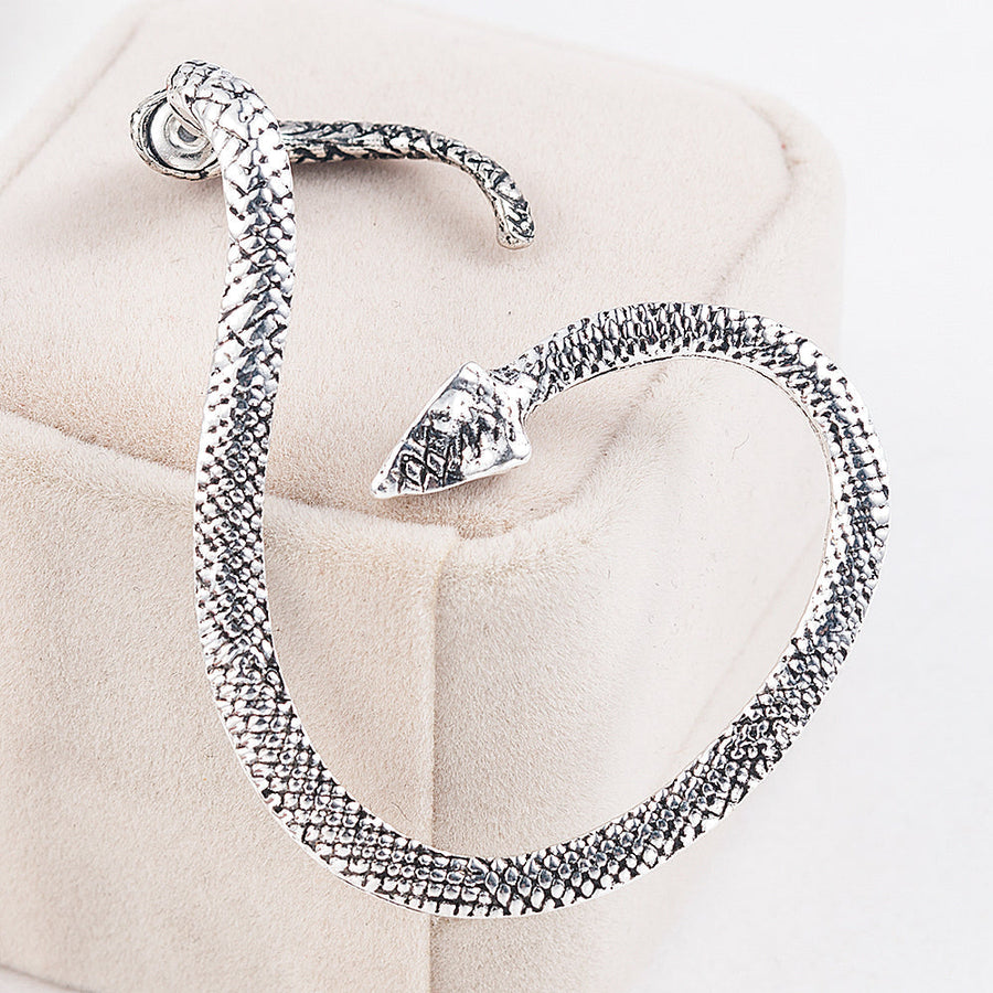 Twining Snake Punk Style  Earrings - Image 4