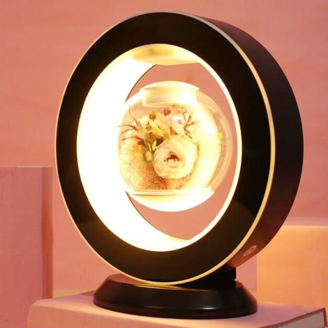 Magnetic Floating Immortal Flower Vase Lamp