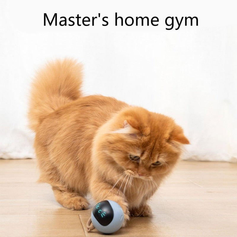 Self Rotating Cat Toy - Image 5